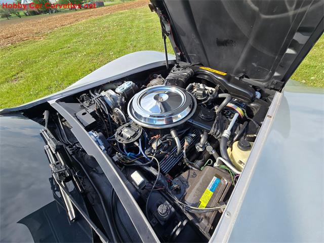 1981 Chevrolet Corvette (CC-2068051) for sale in MARTINSBURG, Pennsylvania