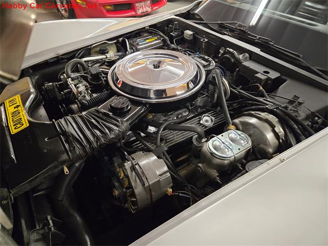 1981 Chevrolet Corvette (CC-2068051) for sale in MARTINSBURG, Pennsylvania