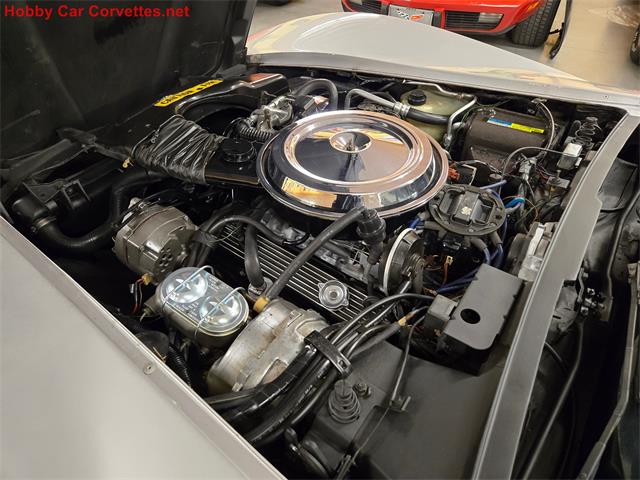 1981 Chevrolet Corvette (CC-2068051) for sale in MARTINSBURG, Pennsylvania