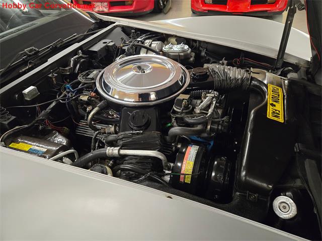 1981 Chevrolet Corvette (CC-2068051) for sale in MARTINSBURG, Pennsylvania