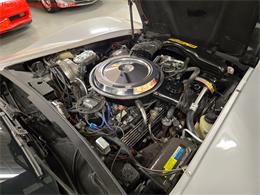 1981 Chevrolet Corvette (CC-2068051) for sale in MARTINSBURG, Pennsylvania