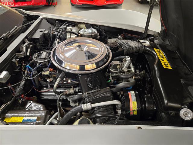 1981 Chevrolet Corvette (CC-2068051) for sale in MARTINSBURG, Pennsylvania