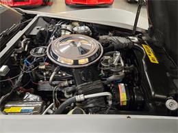 1981 Chevrolet Corvette (CC-2068051) for sale in MARTINSBURG, Pennsylvania