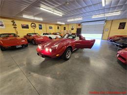 1976 Chevrolet Corvette (CC-2068052) for sale in MARTINSBURG, Pennsylvania