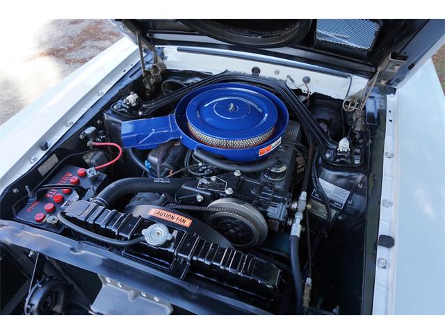 1969 Shelby GT350 (CC-2068054) for sale in Cape Girardeau , Missouri