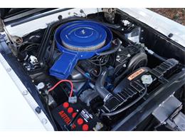 1969 Shelby GT350 (CC-2068054) for sale in Cape Girardeau , Missouri