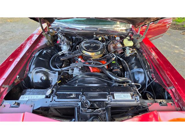 1974 Chevrolet Caprice (CC-2068080) for sale in Reno, Nevada