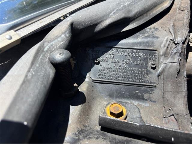 1973 Cadillac Eldorado (CC-2068117) for sale in Orlando, Florida