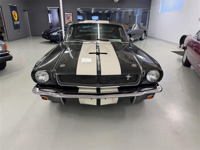 1966 Shelby GT350 (CC-2068146) for sale in Englewood, Colorado