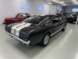 1966 Shelby GT350 (CC-2068146) for sale in Englewood, Colorado