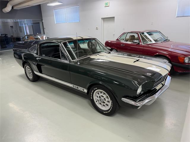 1966 Shelby GT350 (CC-2068146) for sale in Englewood, Colorado