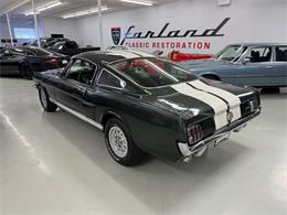 1966 Shelby GT350 (CC-2068146) for sale in Englewood, Colorado