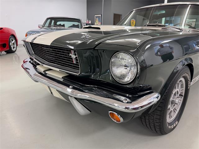 1966 Shelby GT350 (CC-2068146) for sale in Englewood, Colorado