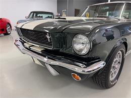 1966 Shelby GT350 (CC-2068146) for sale in Englewood, Colorado