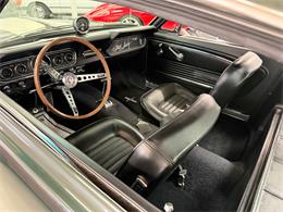 1966 Shelby GT350 (CC-2068146) for sale in Englewood, Colorado
