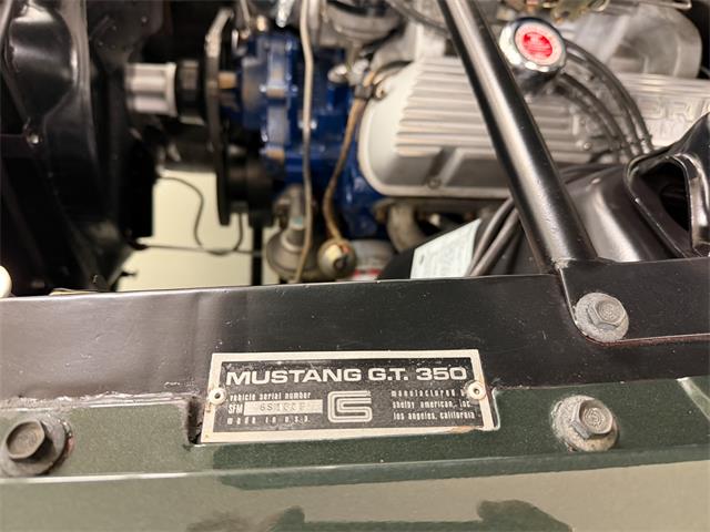 1966 Shelby GT350 (CC-2068146) for sale in Englewood, Colorado