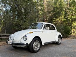 1979 Volkswagen Super Beetle (CC-2068147) for sale in Grass Valley, California