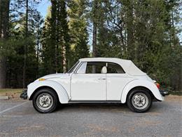 1979 Volkswagen Super Beetle (CC-2068147) for sale in Grass Valley, California