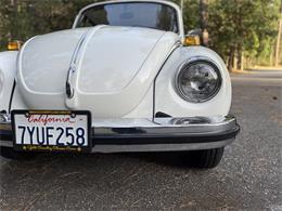 1979 Volkswagen Super Beetle (CC-2068147) for sale in Grass Valley, California