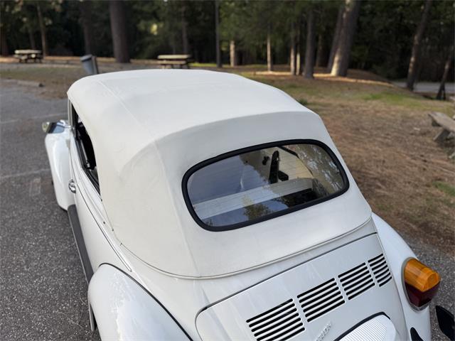 1979 Volkswagen Super Beetle (CC-2068147) for sale in Grass Valley, California