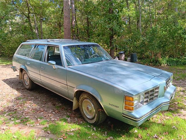 1978 Pontiac LeMans (CC-2068153) for sale in Park Rapids, Minnesota