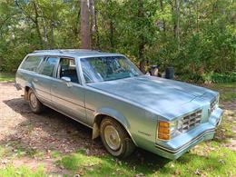 1978 Pontiac LeMans (CC-2068153) for sale in Park Rapids, Minnesota