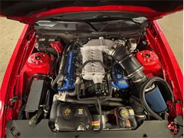 2013 Shelby GT500 (CC-2068182) for sale in Kentwood, Michigan