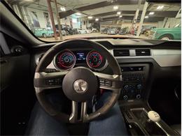 2013 Shelby GT500 (CC-2068182) for sale in Kentwood, Michigan