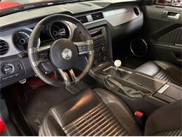 2013 Shelby GT500 (CC-2068182) for sale in Kentwood, Michigan