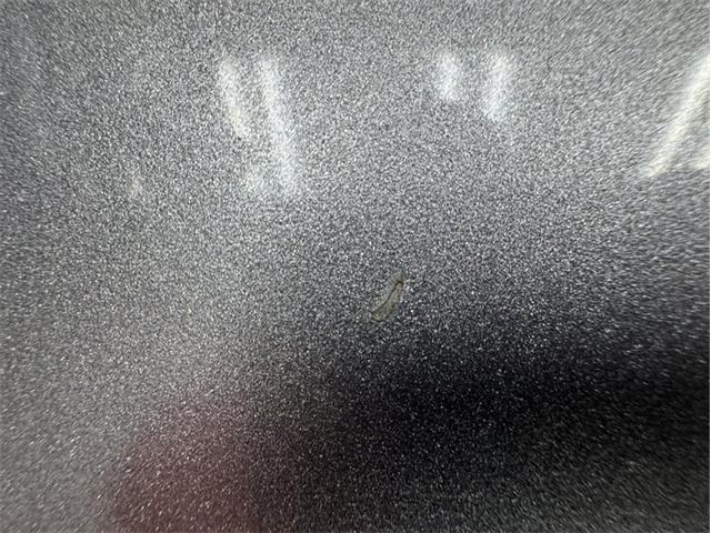 1956 Ford F100 (CC-2068185) for sale in Morgantown, Pennsylvania