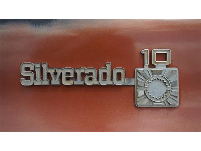 1978 Chevrolet C10 (CC-2068203) for sale in Grapevine, Texas