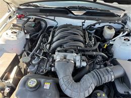 2007 Ford Mustang (CC-2068205) for sale in Brookings, South Dakota