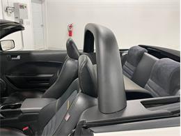 2008 Ford Mustang (CC-2068209) for sale in Depew, New York