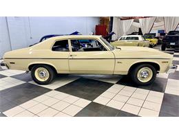 1974 Chevrolet Nova (CC-2068221) for sale in Annandale, Minnesota