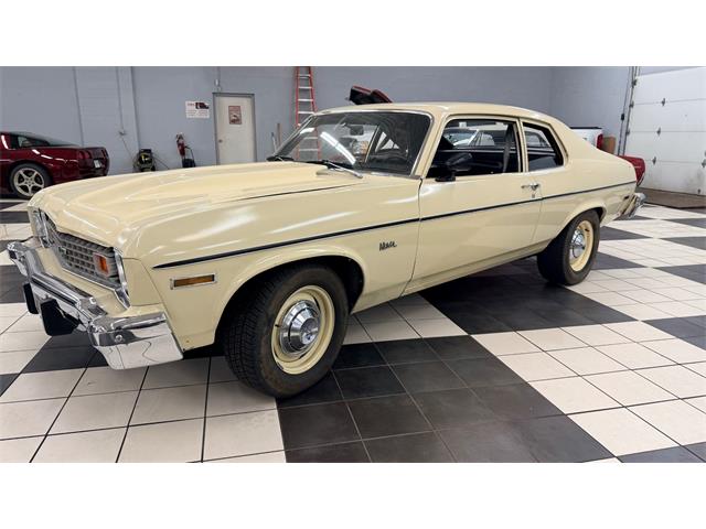 1974 Chevrolet Nova (CC-2068221) for sale in Annandale, Minnesota