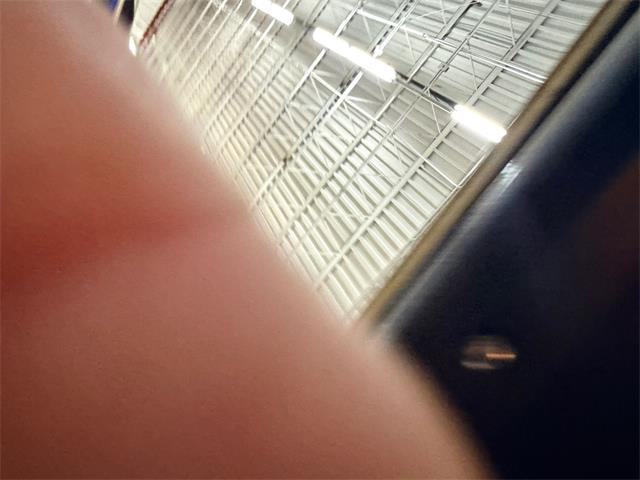 1974 Chevrolet Nova (CC-2068221) for sale in Annandale, Minnesota