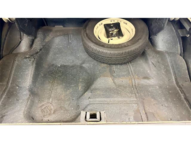 1974 Chevrolet Nova (CC-2068221) for sale in Annandale, Minnesota