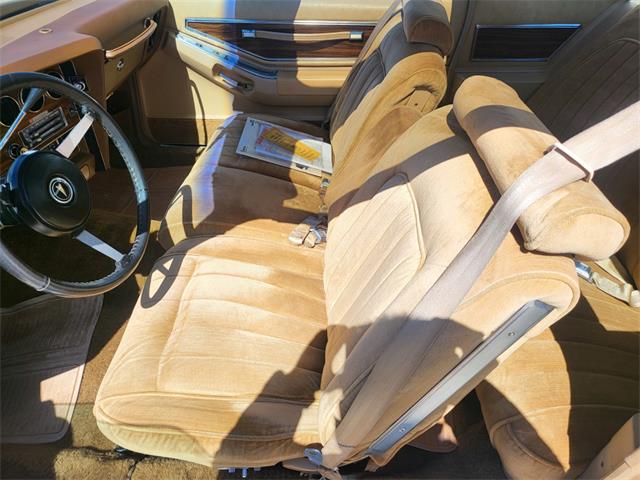 1976 Pontiac Grand Prix (CC-2068223) for sale in Reno, Nevada