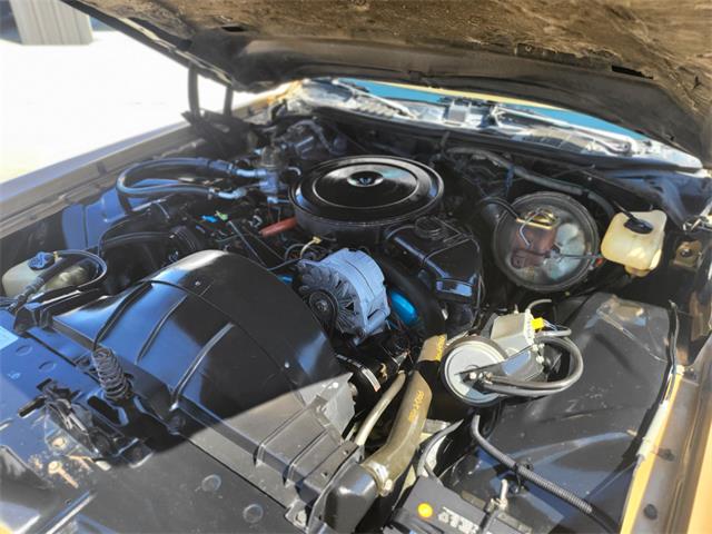 1976 Pontiac Grand Prix (CC-2068223) for sale in Reno, Nevada