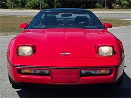 1989 Chevrolet Corvette (CC-2068231) for sale in Hope Mills, North Carolina