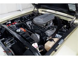 1967 Shelby GT500 (CC-2068254) for sale in Halton Hills, Ontario