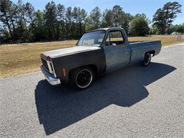 1979 Chevrolet C10 (CC-2068341) for sale in Lugoff, South Carolina