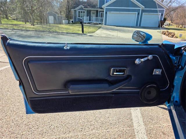 1980 Pontiac Firebird Trans Am (CC-2068350) for sale in Waconia, Minnesota