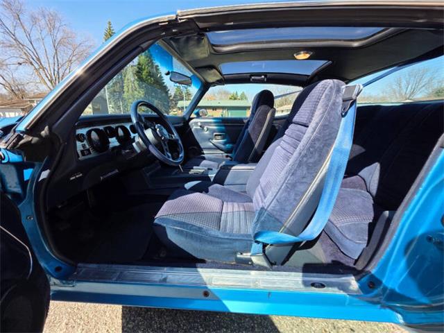 1980 Pontiac Firebird Trans Am (CC-2068350) for sale in Waconia, Minnesota