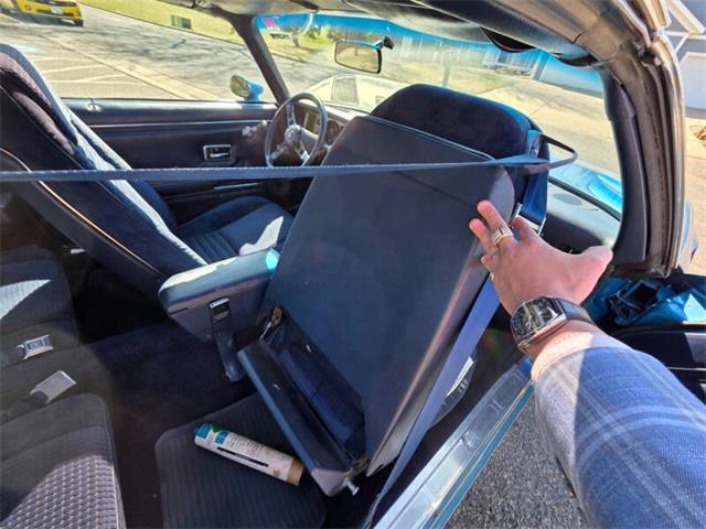 1980 Pontiac Firebird Trans Am (CC-2068350) for sale in Waconia, Minnesota