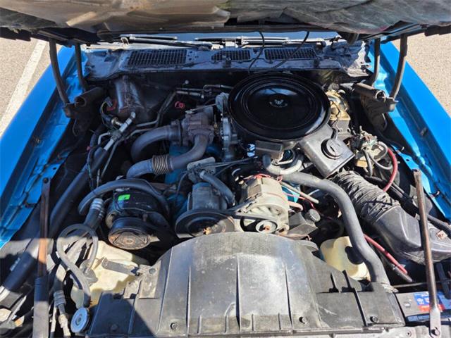 1980 Pontiac Firebird Trans Am (CC-2068350) for sale in Waconia, Minnesota