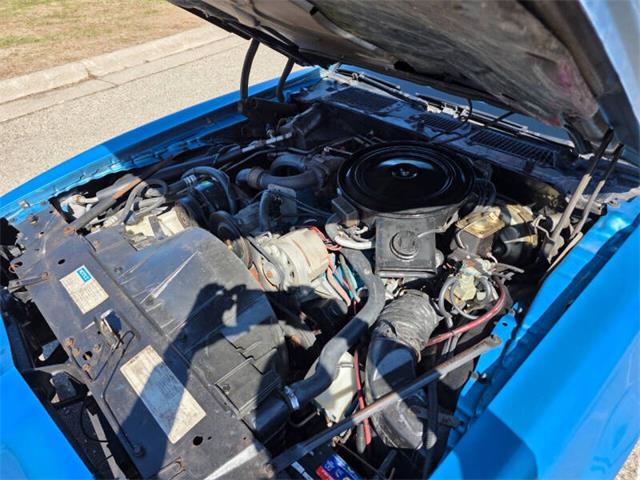 1980 Pontiac Firebird Trans Am (CC-2068350) for sale in Waconia, Minnesota