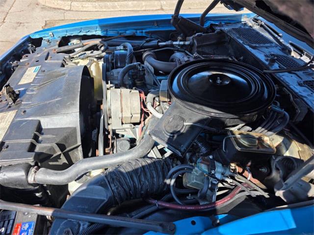 1980 Pontiac Firebird Trans Am (CC-2068350) for sale in Waconia, Minnesota