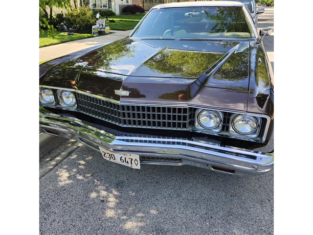 1973 Chevrolet Caprice (CC-2068375) for sale in Skokie, Illinois