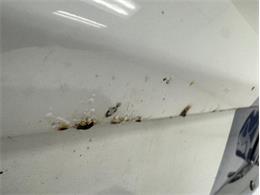 1965 Ford Mustang (CC-2068384) for sale in Morgantown, Pennsylvania